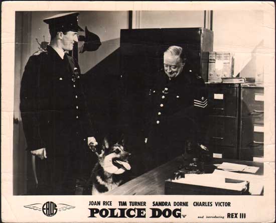 Police Dog UK FOH Still