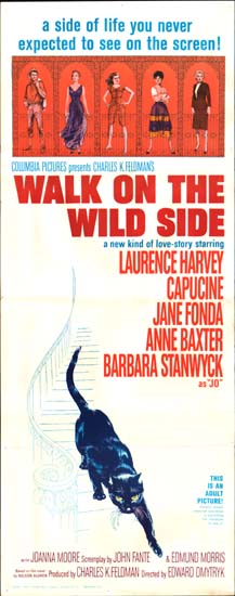 Walk on the Wild Side US Insert movie poster
